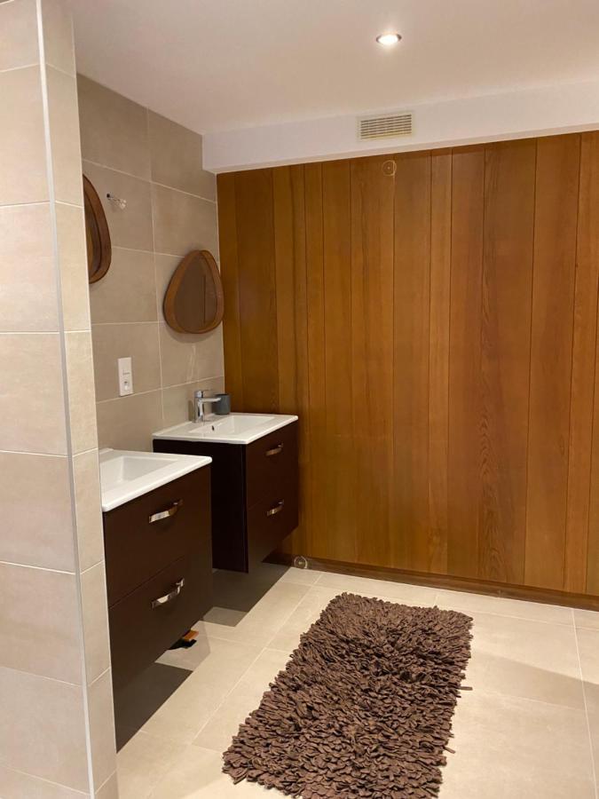 Appartement Atypique Epinal Gare エクステリア 写真